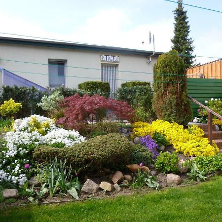 Pension Am Peeneufer Ug Wolgast Exterior photo