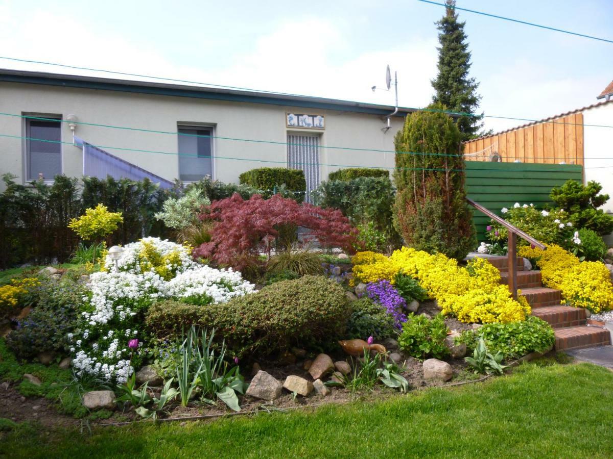 Pension Am Peeneufer Ug Wolgast Exterior photo